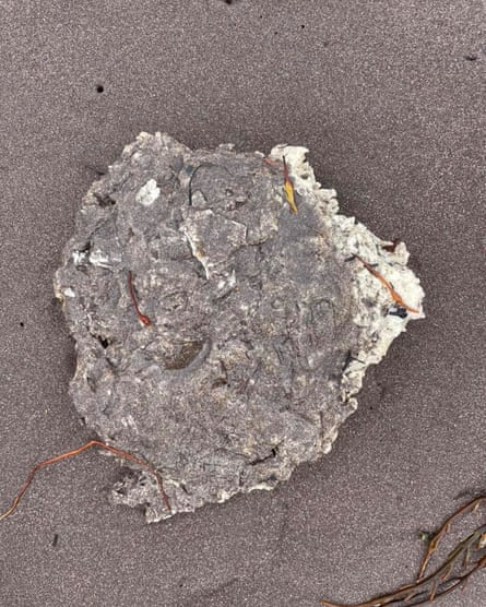 Mysterious gooey blobs washed up on Canada beaches baffle experts