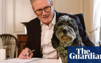 Political paws for thought | Brief letters