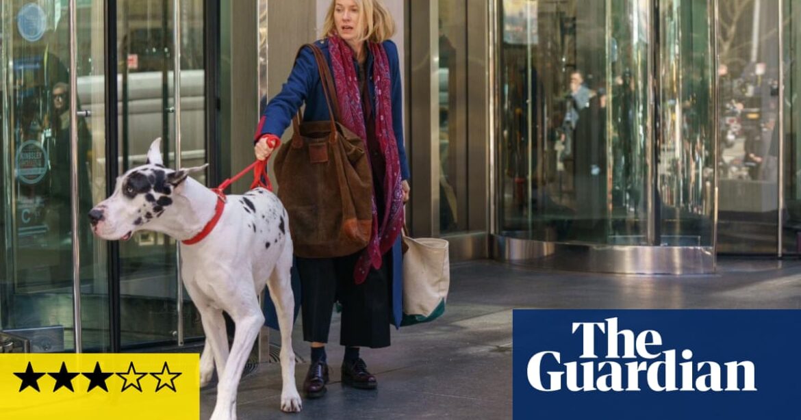 The Friend review – Naomi Watts befriends great dane in sweet, slight drama