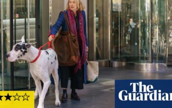 The Friend review – Naomi Watts befriends great dane in sweet, slight drama