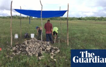 4,000-year-old canals used for fishing by Maya predecessors discovered in Belize