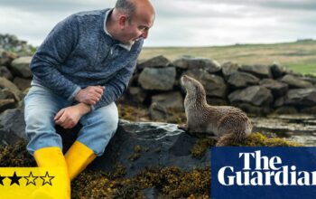 Billy & Molly: An Otter Love Story review – a pleasure of a film about an unlikely bond