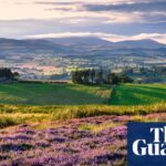 England’s national parks facing financial peril due to budget cuts, say CEOs