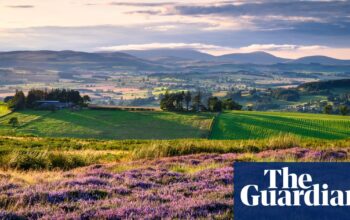 England’s national parks facing financial peril due to budget cuts, say CEOs