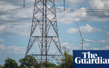 Labour MPs push back against anti-pylon lobbying despite local opposition