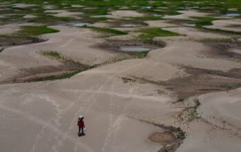 Severe drought puts nearly half a million children at risk in Amazon – report