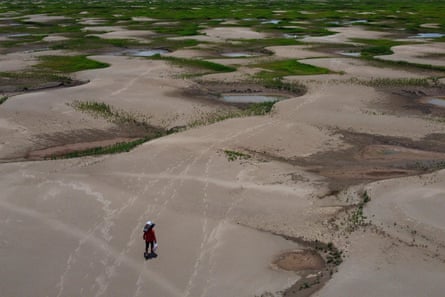 Severe drought puts nearly half a million children at risk in Amazon – report