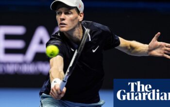 Sinner sees off De Minaur while Fritz beats angry Medvedev at ATP Finals