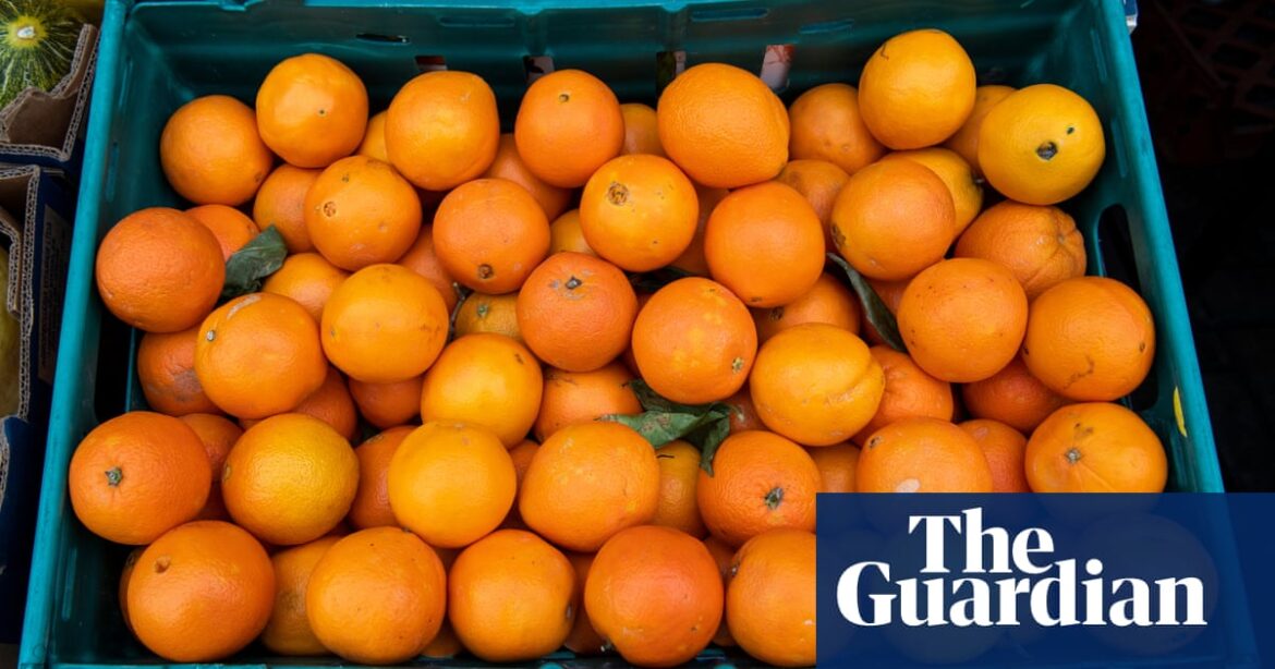 Spain’s floods force some UK sellers to buy oranges from southern hemisphere