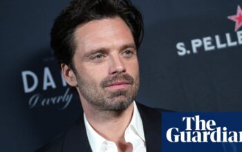 The Apprentice actor Sebastian Stan says Hollywood stars are ‘afraid’ of Trump