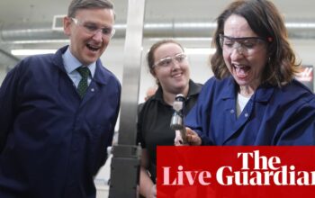 Tories accuse Labour of ‘pinching our ideas’ with jobs plan – UK politics live