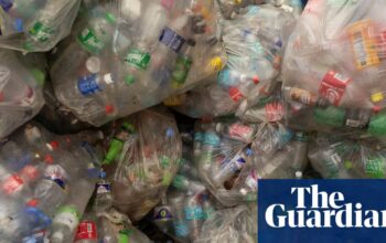 Countries call for binding targets to cut plastic production after talks fail