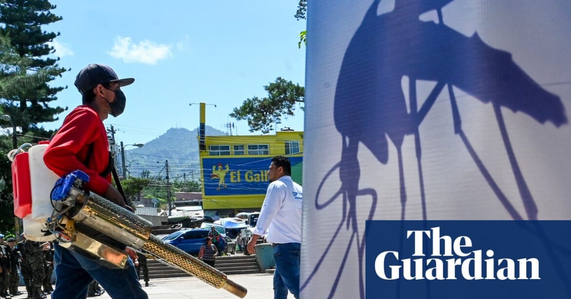 Dengue fever deaths surge in Caribbean and Americas due to climate crisis