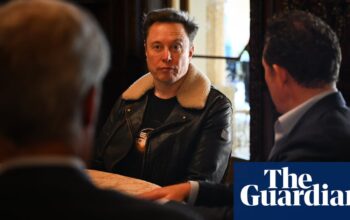 Elon Musk among billionaires set to donate to Reform UK, says treasurer