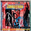 Stevie Wonder – Jungle Fever