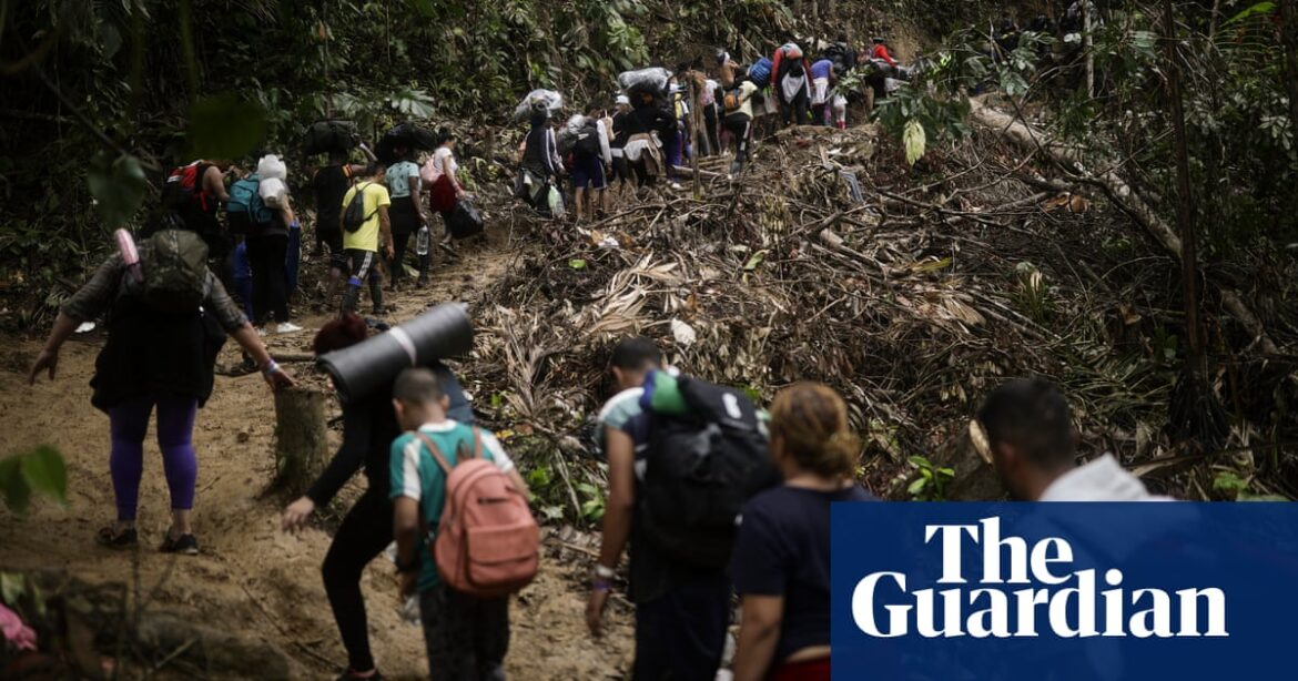 Panama says 55 US-bound migrants have died crossing Darién Gap this year