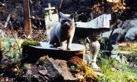 Confirmed hearing … Pet Sematary (1989).