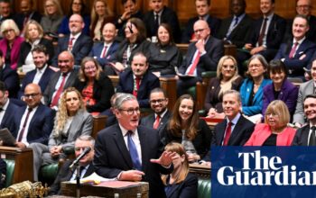 AI tool can give ministers ‘vibe check’ on whether MPs will like policies