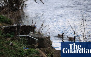 ‘Appalling’: charities warn of UK government betrayal over river clean-up fund