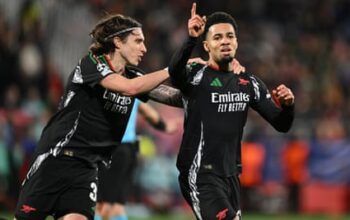 Champions League review: smaller teams struggle but new stars rise