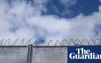 Drones flying into jails in England and Wales are national security threat, says prisons watchdog