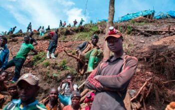 Halt illegal imports of conflict minerals from DRC, campaigners urge EU