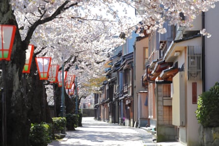 Cherry blossoms in Kanazawa in Japan’s east.