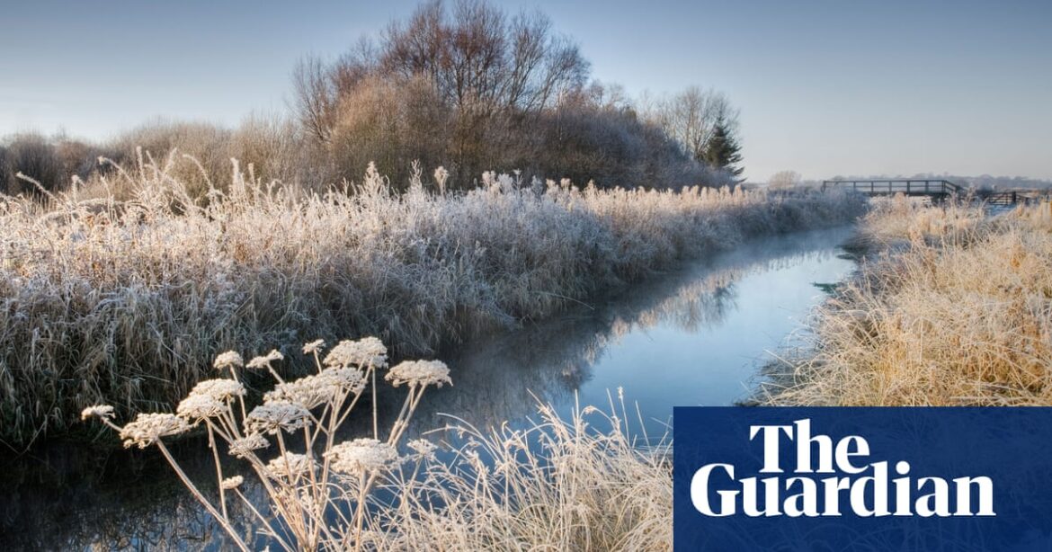 Ministers to appeal against river pollution ruling won by Yorkshire anglers