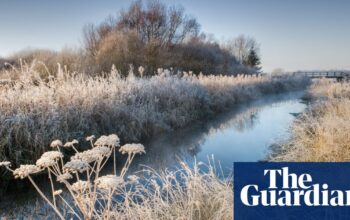 Ministers to appeal against river pollution ruling won by Yorkshire anglers