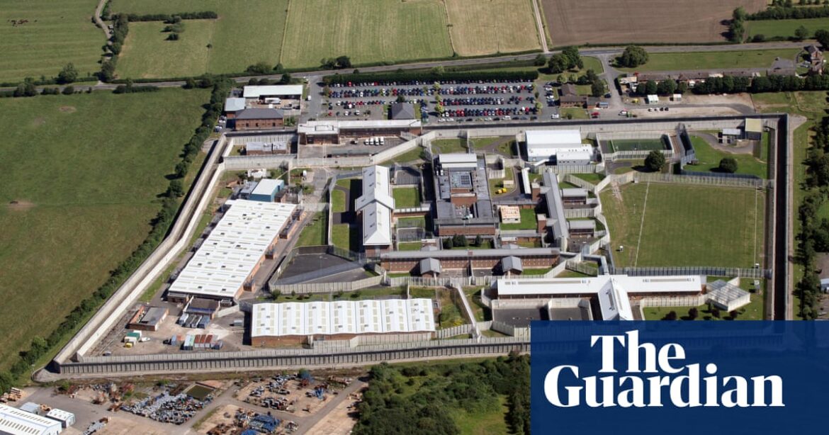 Organised crime unit expanded in prisons in England and Wales to fight escalating gang activity