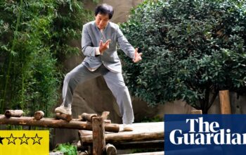 Panda Plan review – Jackie Chan on fighting form in a goofy cute-animal rescue yarn