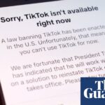 TikTok users posting cat videos do not threaten UK national security, minister says