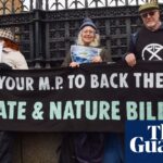 UK climate and nature bill dropped after deal with Labour backbenchers