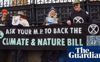 UK climate and nature bill dropped after deal with Labour backbenchers