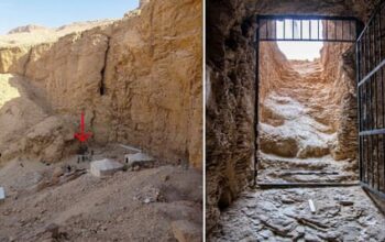 Archaeologists discover first pharaoh’s tomb in Egypt in more than a century