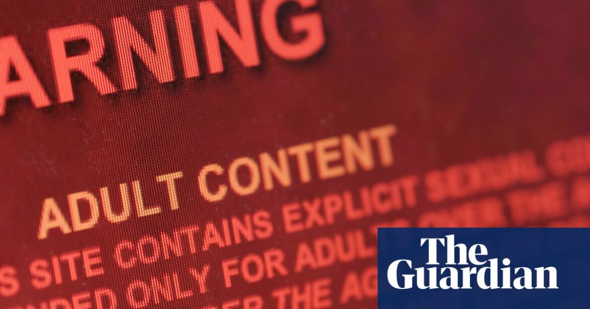 Ban pornography depicting strangulation, review urges UK ministers