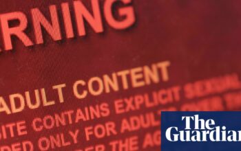 Ban pornography depicting strangulation, review urges UK ministers