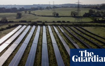 Britain’s net zero economy is booming, CBI says