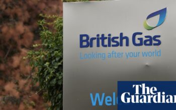 British Gas is named worst energy supplier for customer service