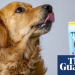 Dog treat made from lab-grown meat on sale in UK as retailer claims a ‘world first’