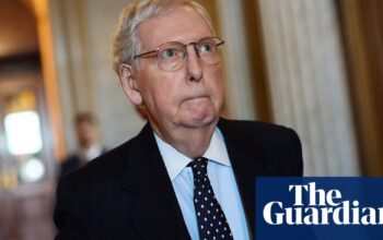 Mitch McConnell calls Trump tariffs ‘bad idea’ but most Republicans toe line