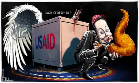 Ella Baron on Elon Musk butchering USAid - cartoon