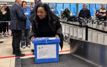 More than 100,000 African seeds put in Svalbard vault for safekeeping