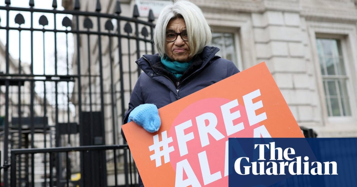 Mother of Egypt detainee ready to end hunger strike if UK makes progress