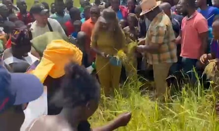 A man resembling Johannes Leijdekkers (in the white top and black cap) seen at a farm belonging to Sierra Leone’s president Julius Maada Bio in Tihun last year.