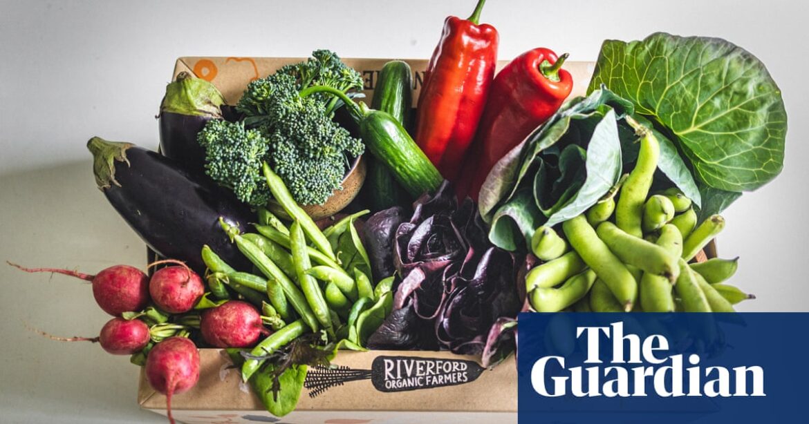 Riverford employees to share £1.3m payout as veg box firm’s profits jump