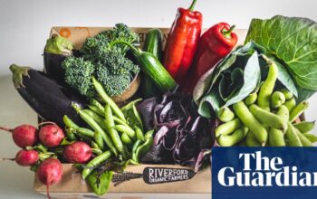 Riverford employees to share £1.3m payout as veg box firm’s profits jump