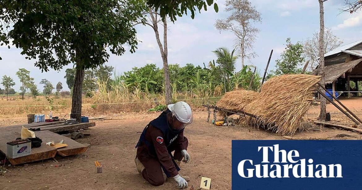 Two children killed by decades-old grenade in Cambodia