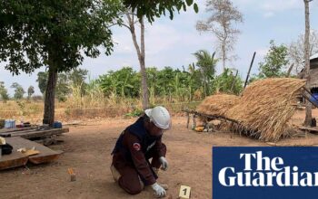 Two children killed by decades-old grenade in Cambodia