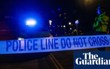 Woman, 19, dies after ‘XL bully’ attack in Bristol flat